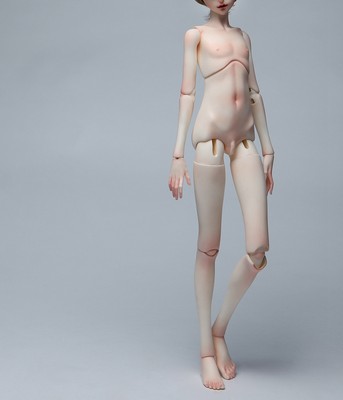 msd size bjd